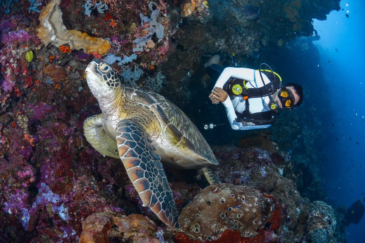 Try Scuba/Discovery Scuba Diving 1