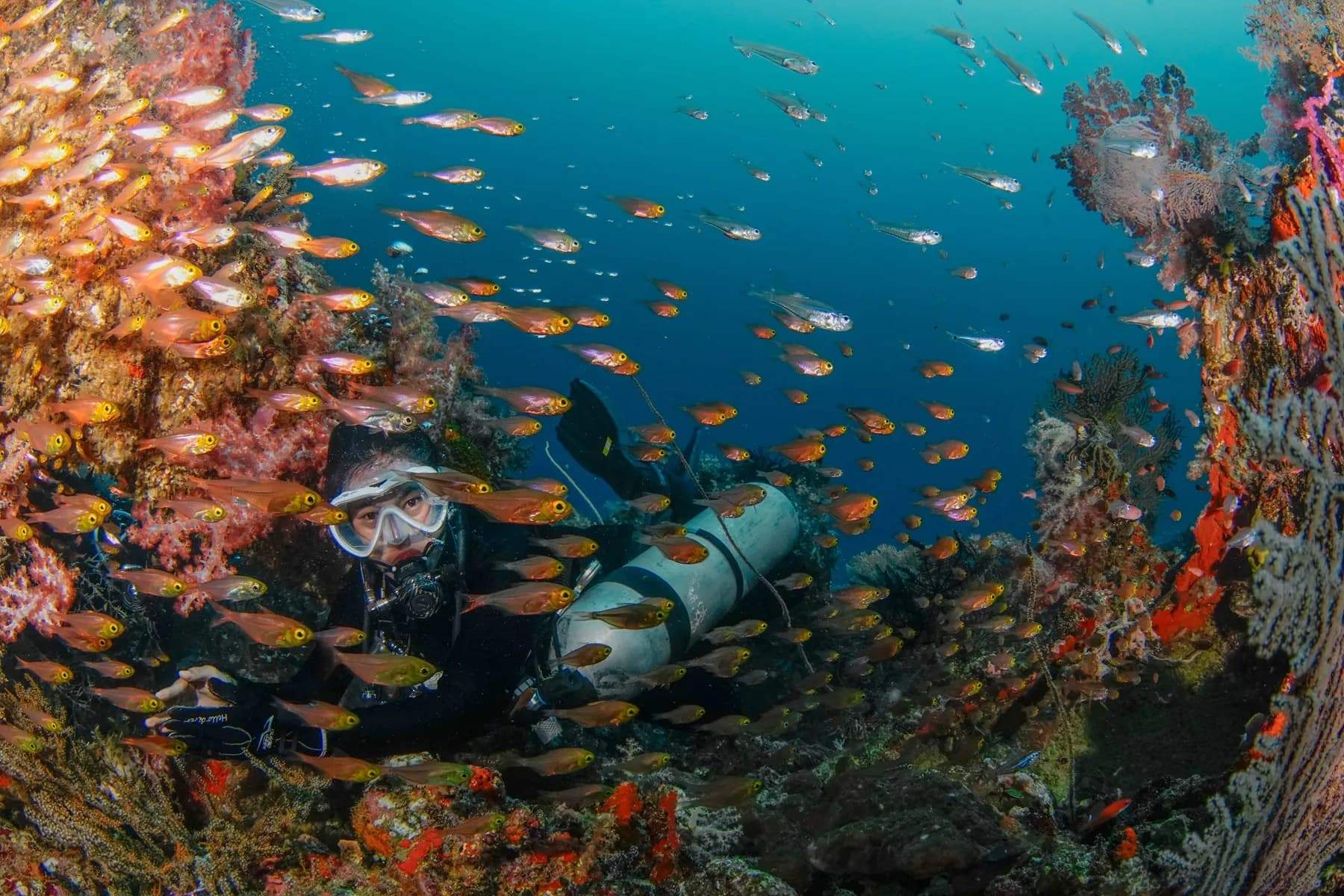 Tulamben Shore 3 Dives 3