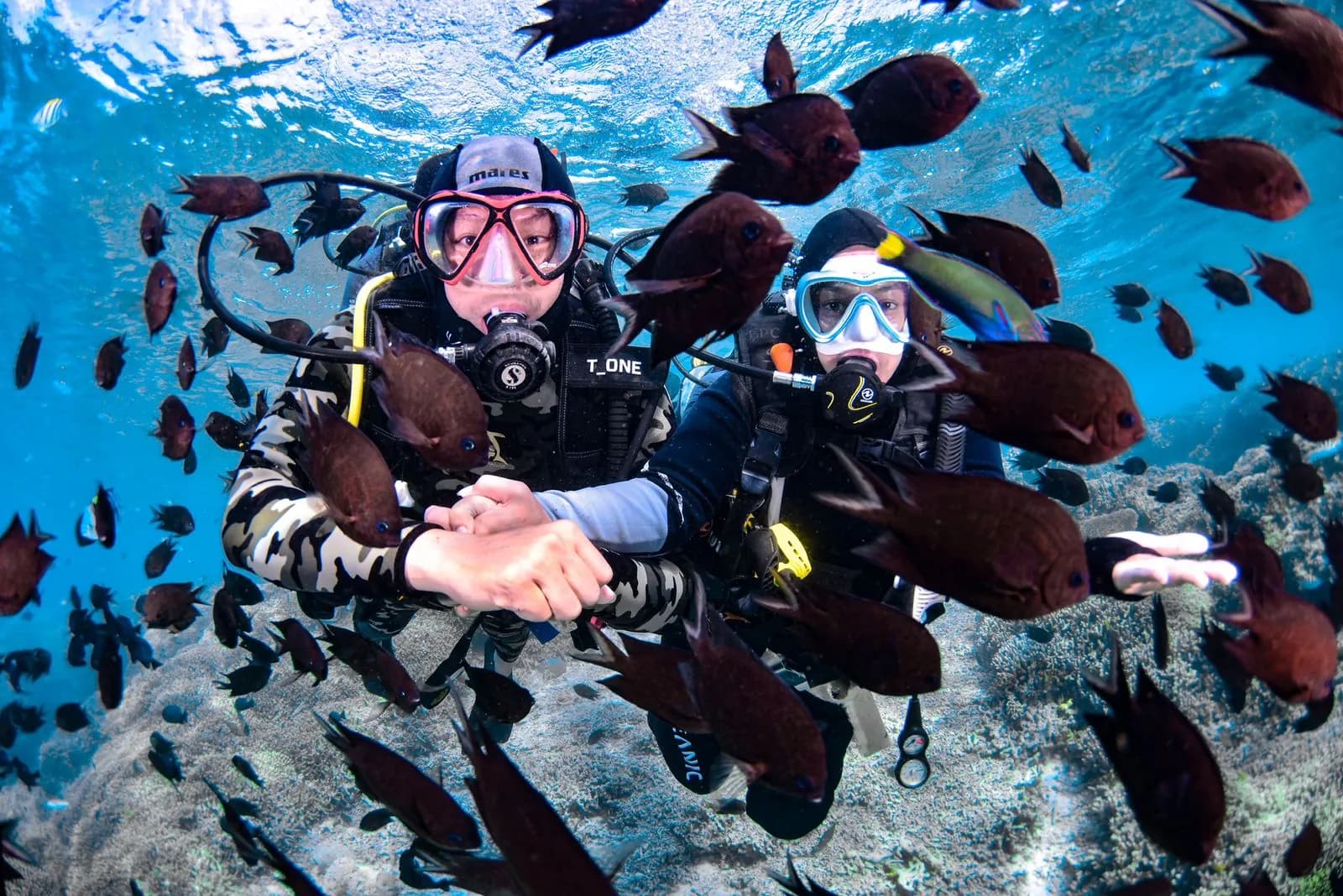 Try Scuba-Lembeh Strait 3