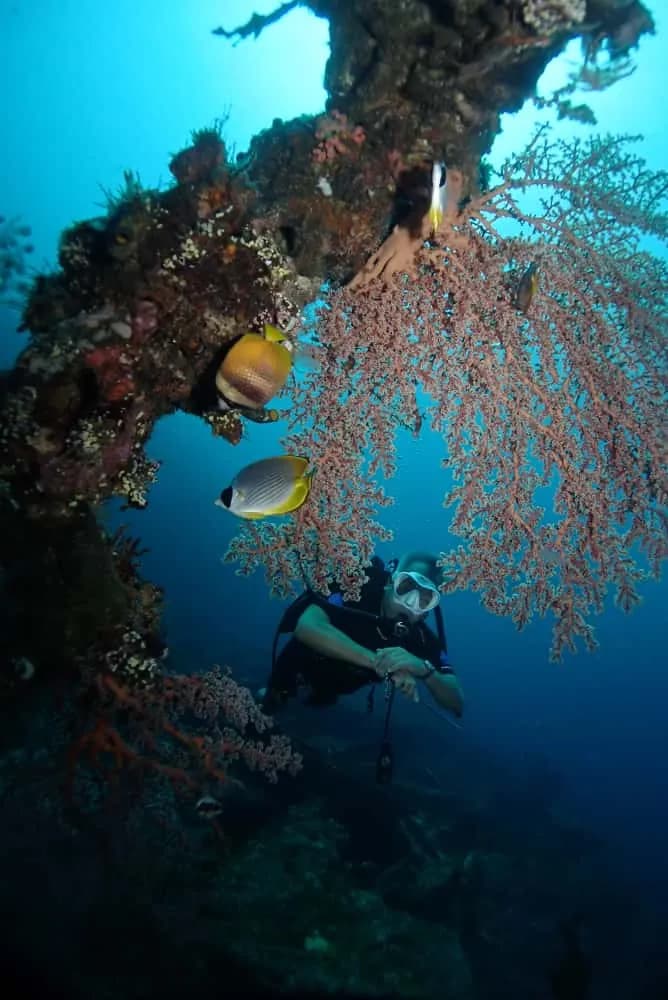 Fundive Pemuteran 2x shore dives 3