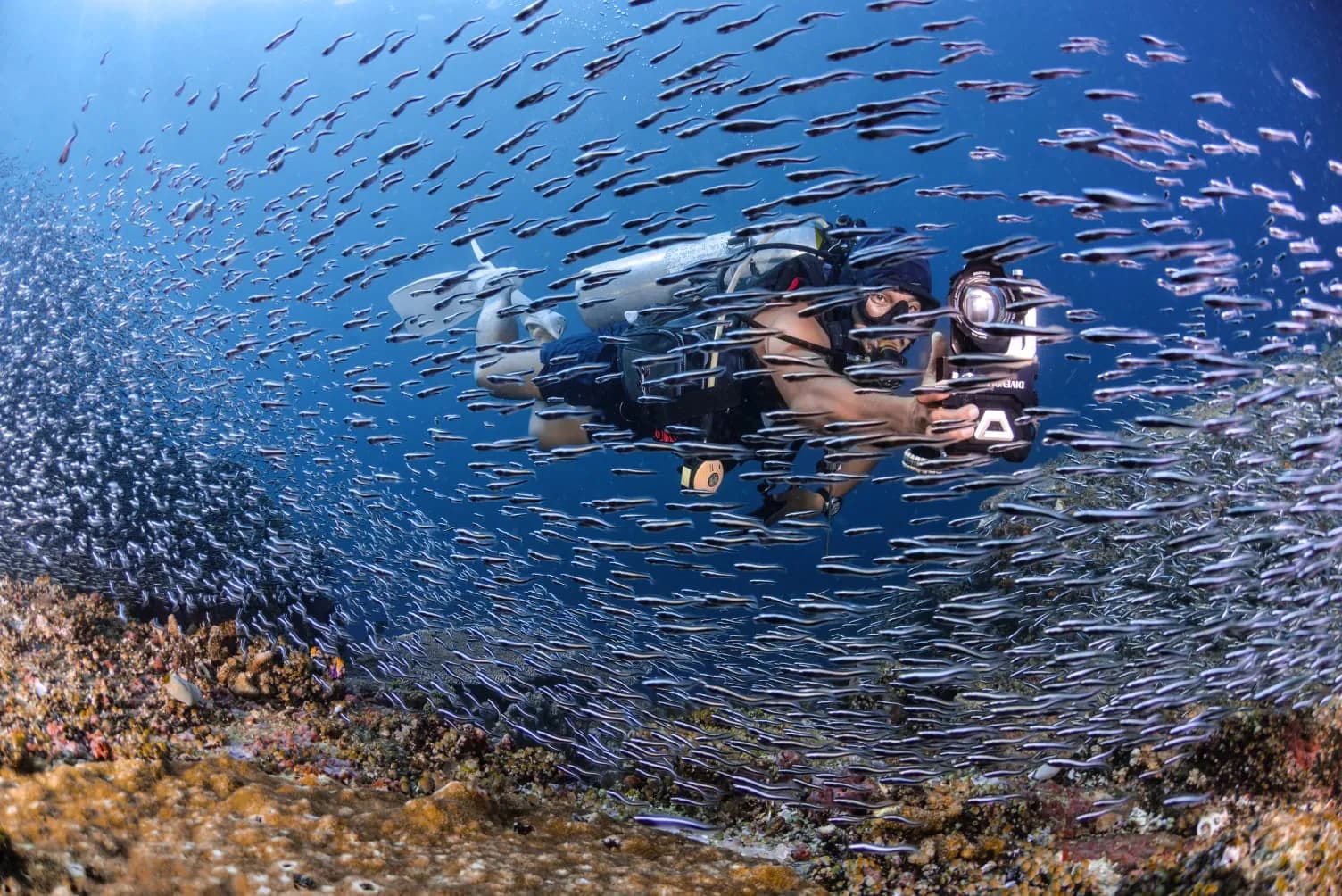 Try Scuba - Pulau Bangka, Likupang 6