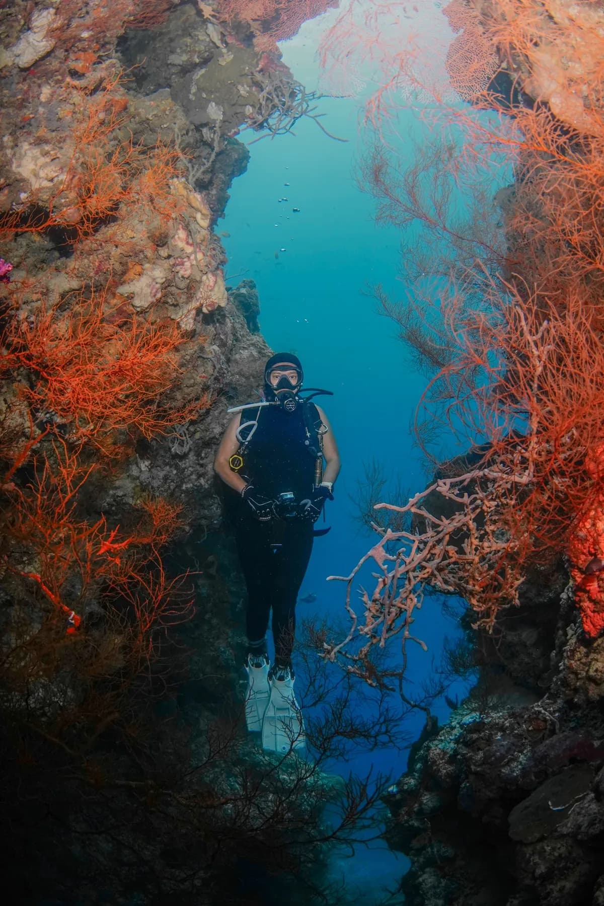 Deep Diving Specialty 3