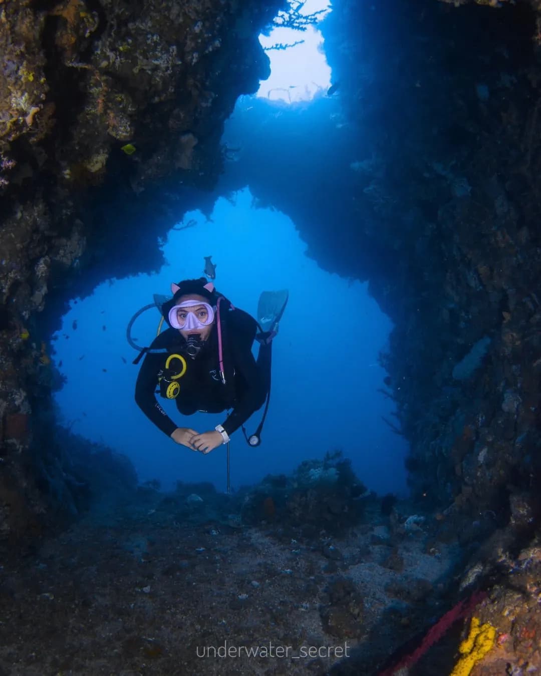3 Log Dives-Lembeh Strait 2