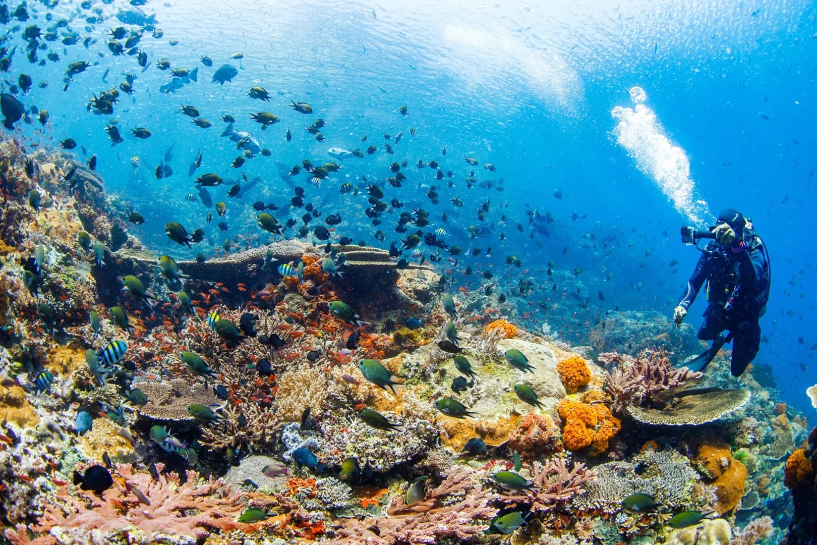 Scuba Diving Surabaya Academy