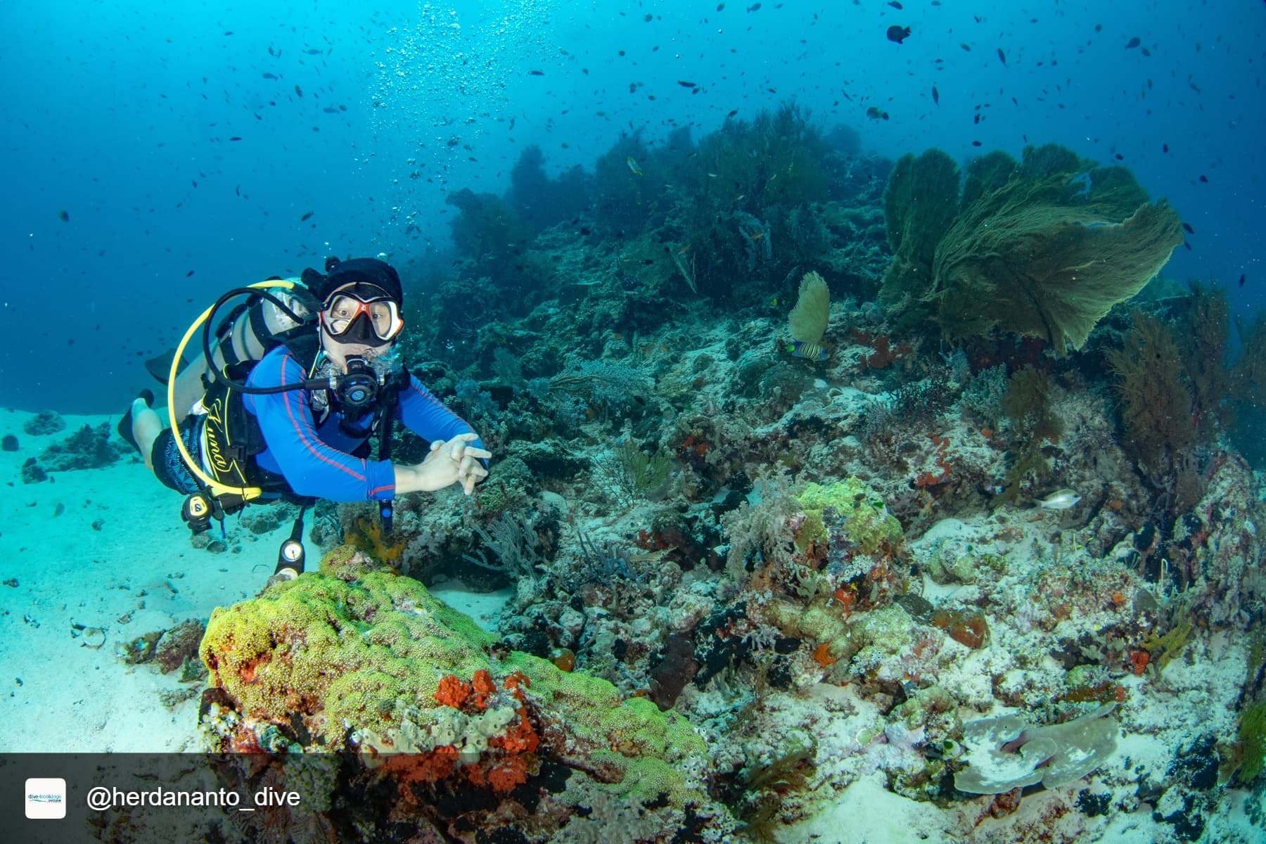 West Bali National Park 3d2n, 2pax 5
