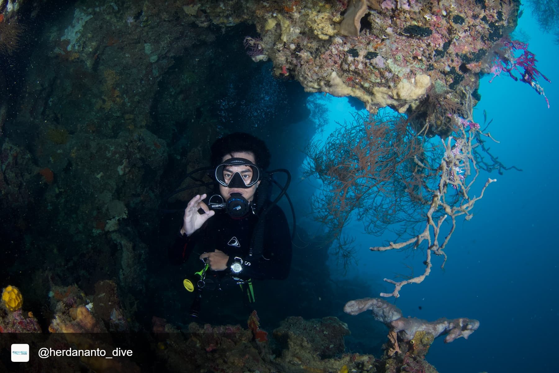 PADI Deep Diver Specialty 5