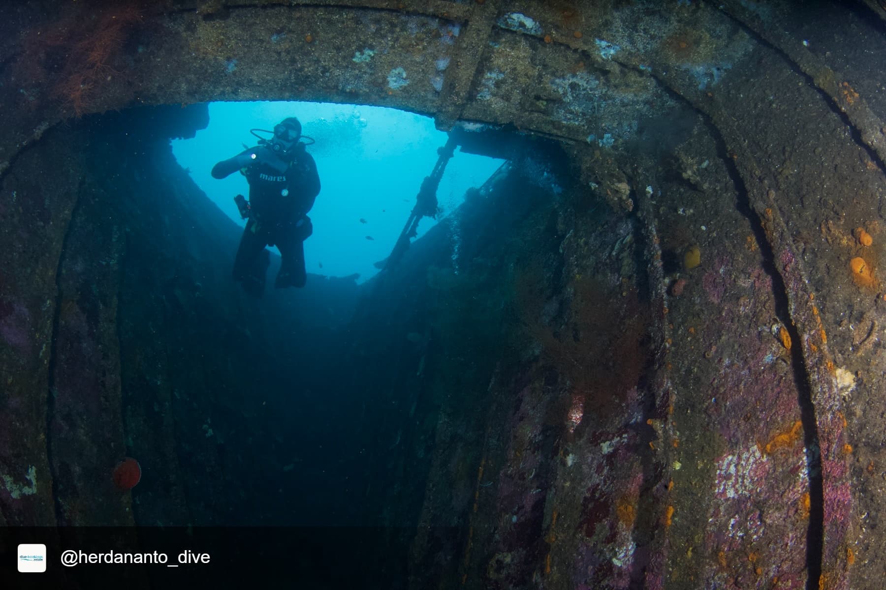PADI Peak Performance Buoyancy 1