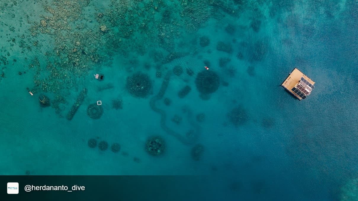 Fun diving Pemuteran Bay, 2x shore dives 1