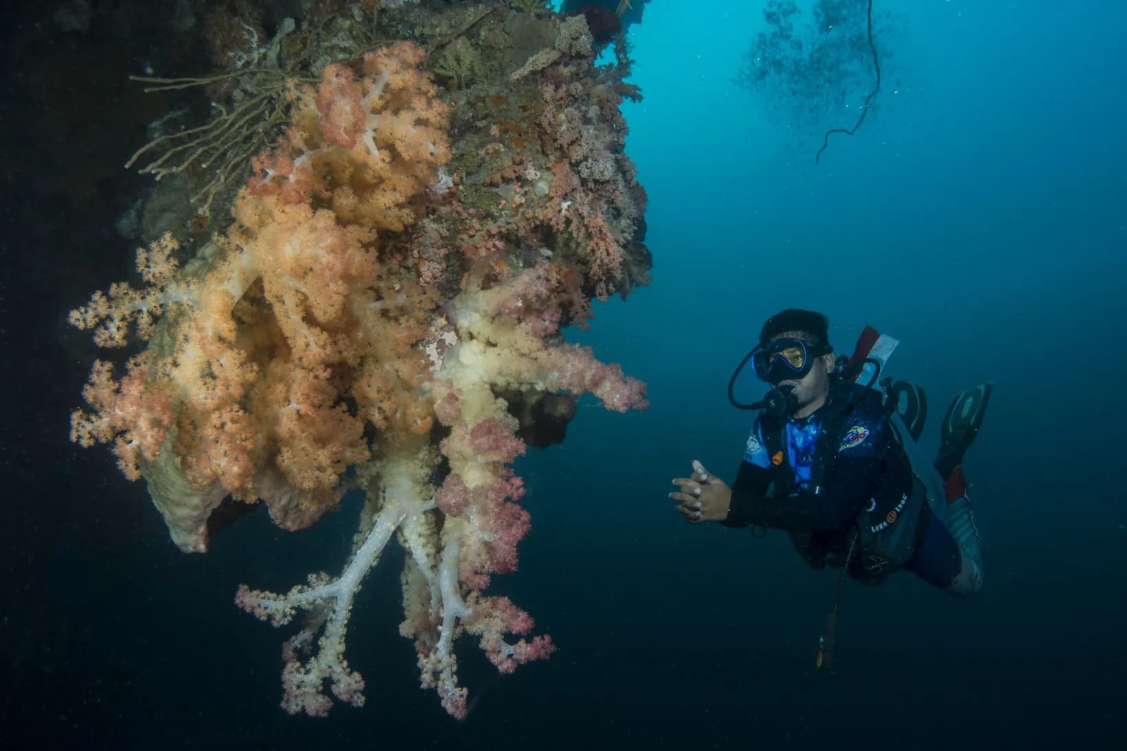 Wangi-wangi Island Wakatobi 3 dives Package 1